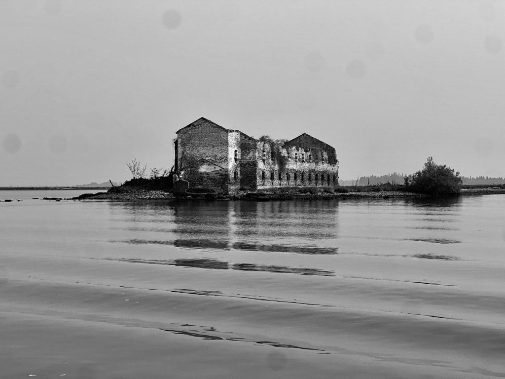 VENICE, VENICE, 3 / 5