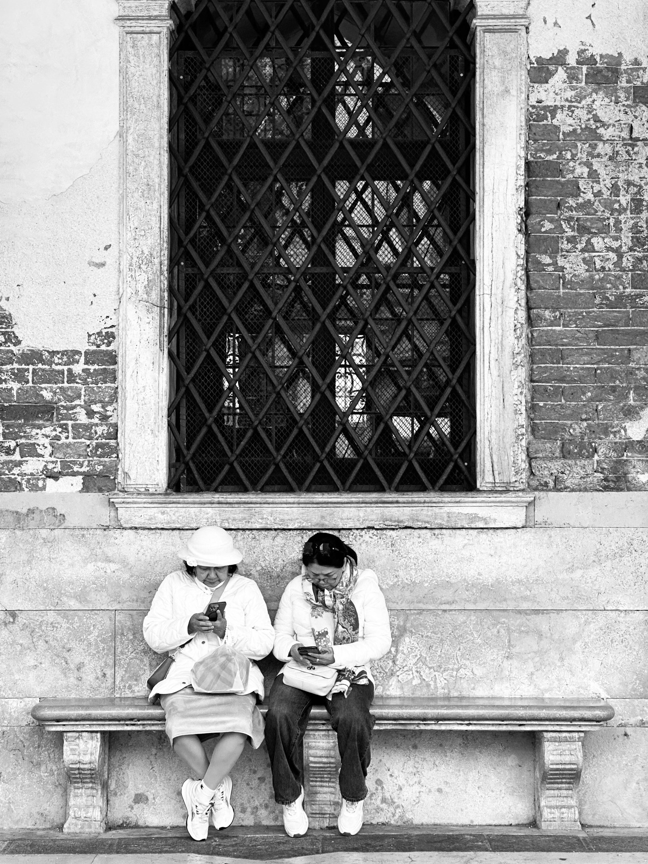 VENICE, VENICE, 5 / 5